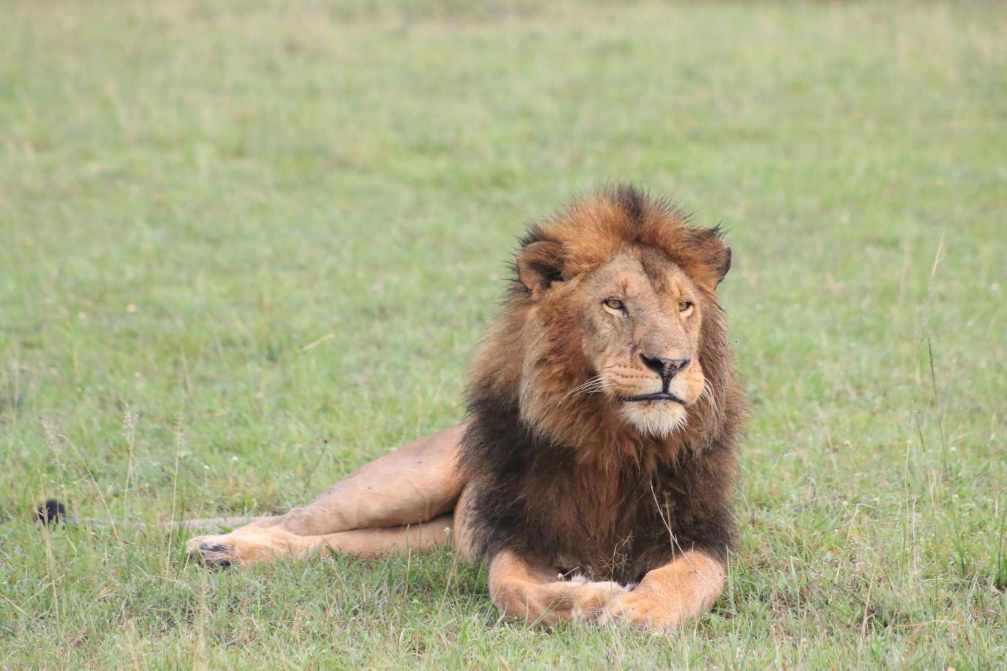 Hotel Samana Mara Maasai Mara Zewnętrze zdjęcie